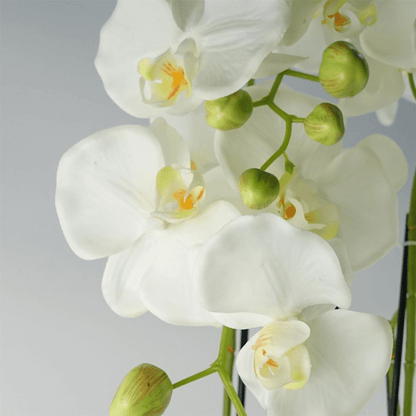Stunning 150cm Real Touch Giant White Orchid - 189 Lifelike Flowers! - plants - express.com
