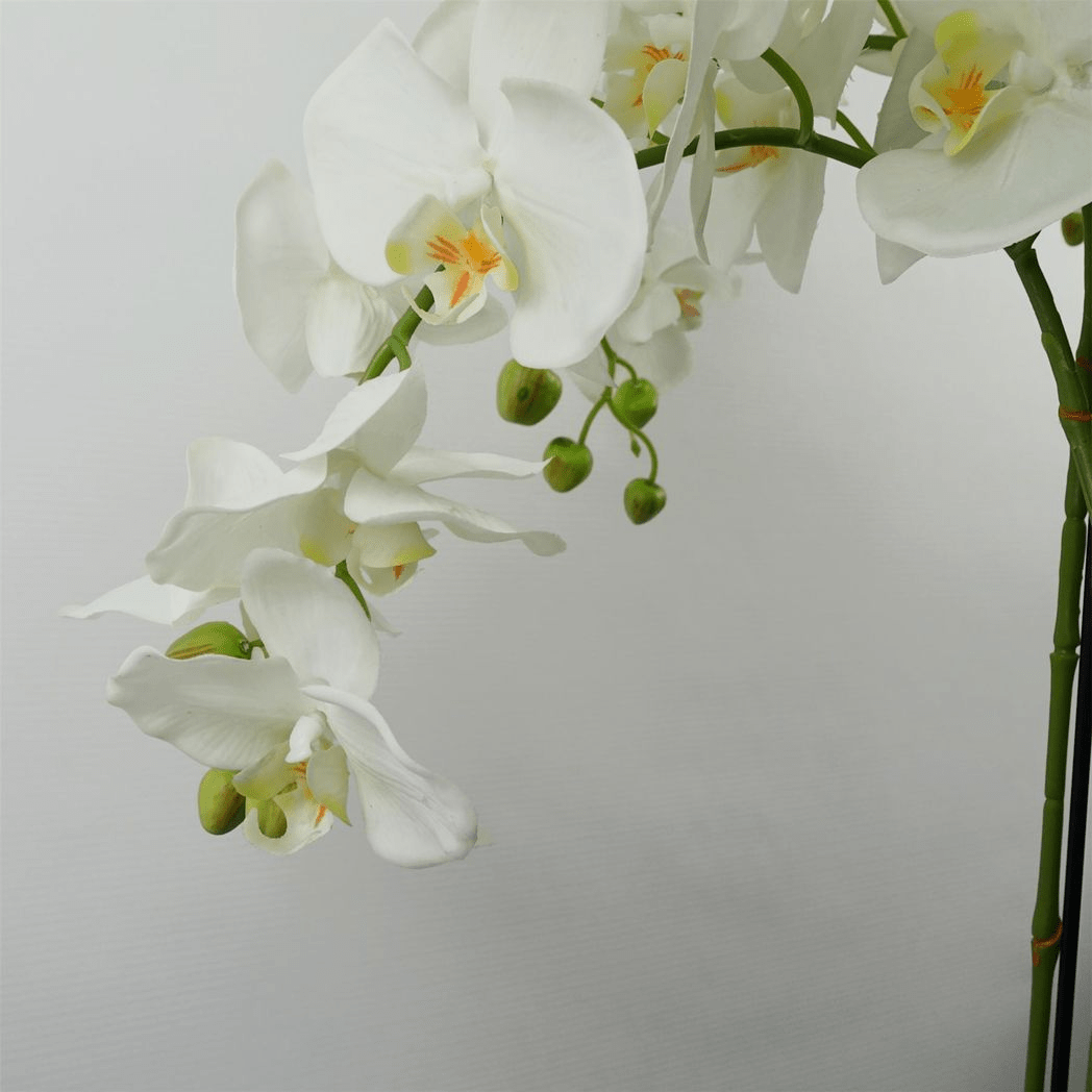 Stunning 150cm Real Touch Giant White Orchid - 189 Lifelike Flowers! - plants - express.com