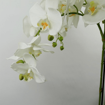Stunning 150cm Real Touch Giant White Orchid - 189 Lifelike Flowers! - plants - express.com