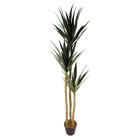 Stunning 170cm XL Triple Yukka Tree - Lifelike Artificial Tropical Plant - plants - express.com