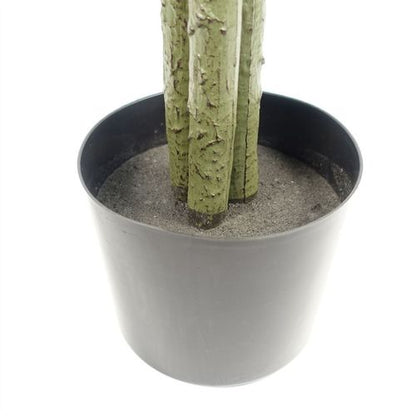 Stunning 180cm Artificial Ficus Tree - Lifelike Décor for Home & Office - plants - express.com