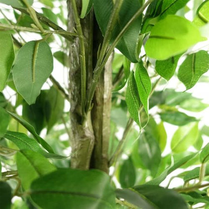Stunning 180cm Artificial Ficus Tree - Lifelike Décor for Home & Office - plants - express.com