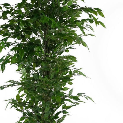 Stunning 180cm Artificial Ficus Tree - Lifelike Décor for Home & Office - plants - express.com