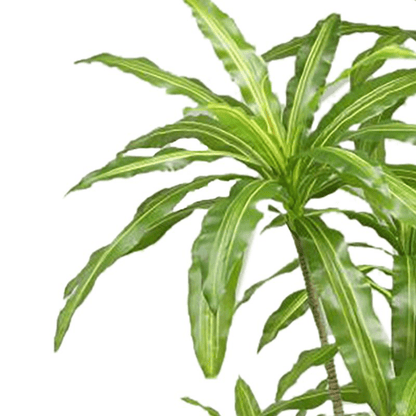 Stunning 180cm Realistic Artificial Dracaena Tree – No Maintenance Needed! - plants - express.com
