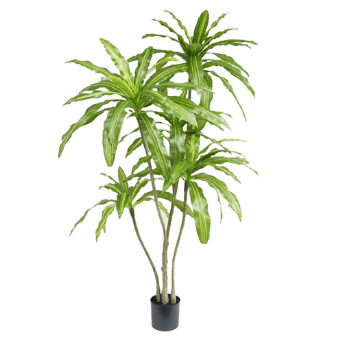 Stunning 180cm Realistic Artificial Dracaena Tree – No Maintenance Needed! - plants - express.com