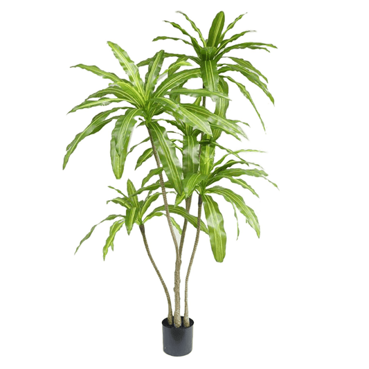 Stunning 180cm Realistic Artificial Dracaena Tree – No Maintenance Needed! - plants - express.com
