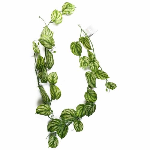 Stunning 180cm Realistic Devil's Ivy Trailing Plant - Perfect for Any Space! - plants - express.com
