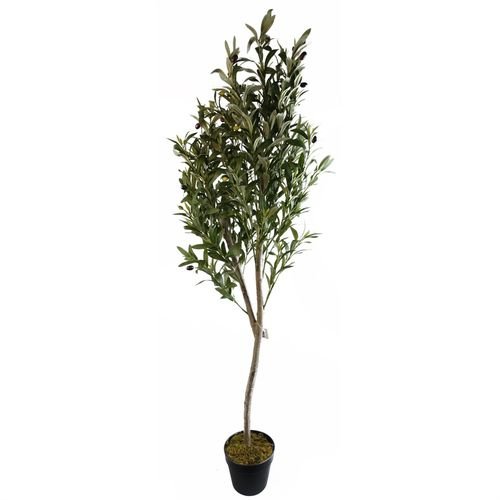 Stunning 180cm Realistic Olive Tree - Effortless Elegance for Your Space! - plants - express.com