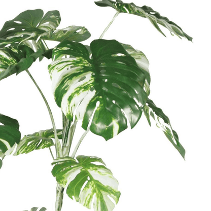Stunning 210cm Variegated Monstera - Realistic Artificial Tree for Every Space! - plants - express.com