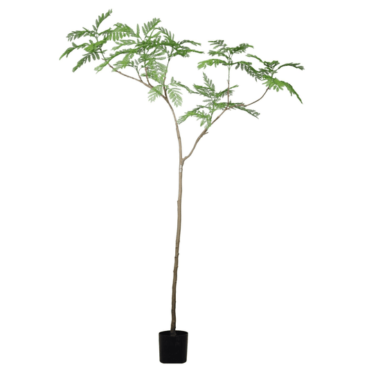Stunning 240cm Realistic Artificial Jacaranda Tree – Maintenance - Free Elegance - plants - express.com