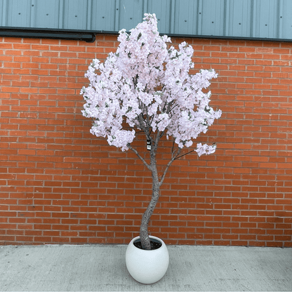Stunning 260cm XXL Cherry Blossom Tree with Elegant Decorative Planter - plants - express.com