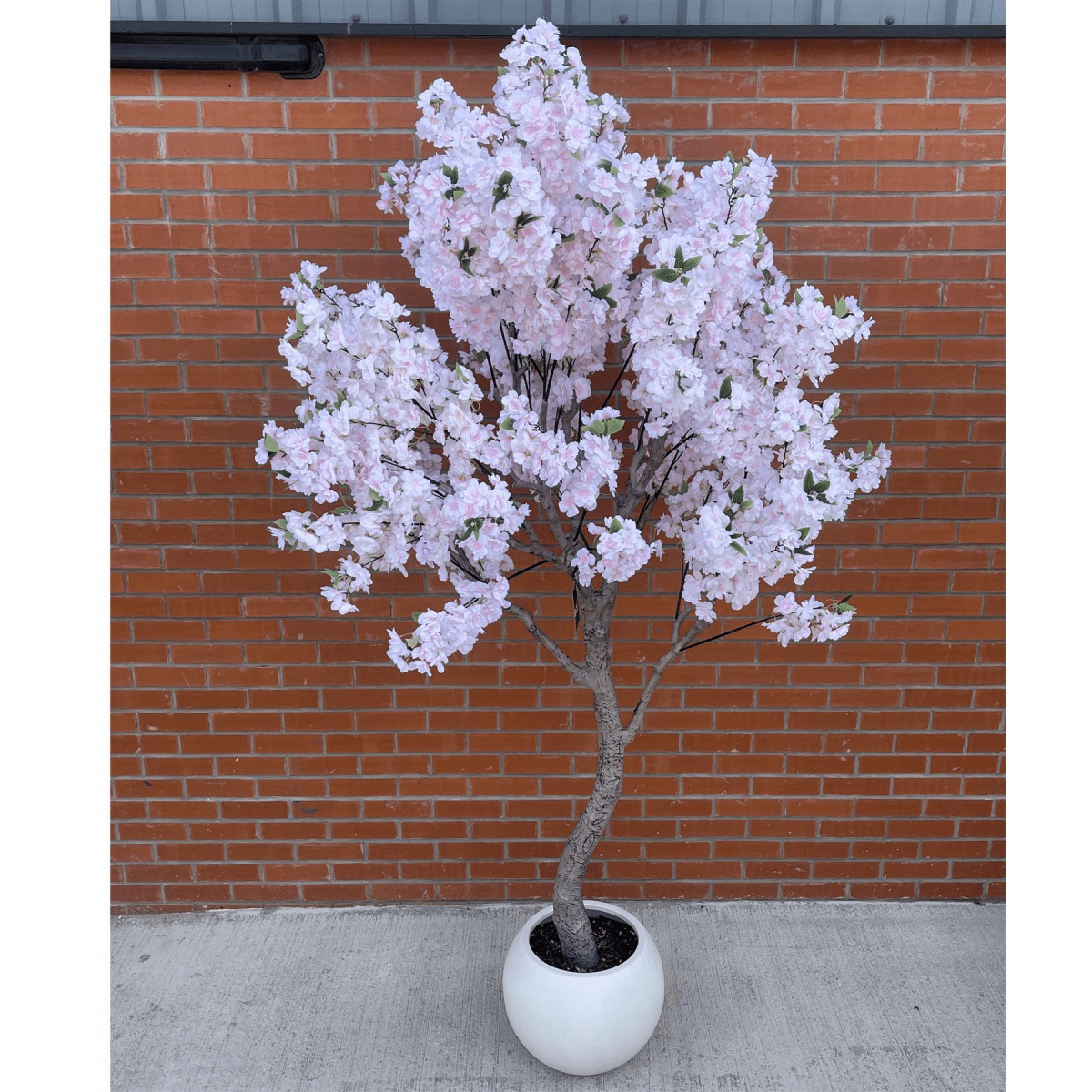 Stunning 260cm XXL Cherry Blossom Tree with Elegant Decorative Planter - plants - express.com