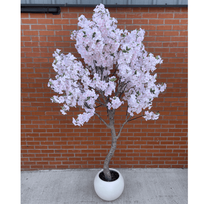 Stunning 260cm XXL Cherry Blossom Tree with Elegant Decorative Planter - plants - express.com