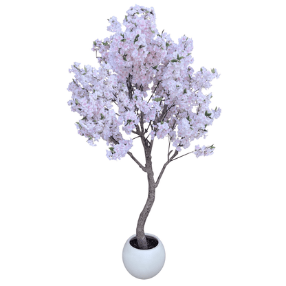 Stunning 260cm XXL Cherry Blossom Tree with Elegant Decorative Planter - plants - express.com