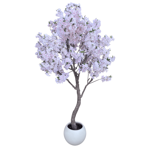 Stunning 260cm XXL Cherry Blossom Tree with Elegant Decorative Planter - plants - express.com