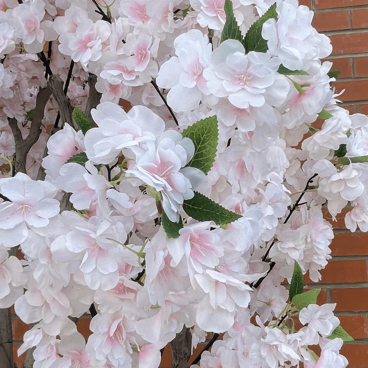 Stunning 260cm XXL Cherry Blossom Tree with Elegant Decorative Planter - plants - express.com