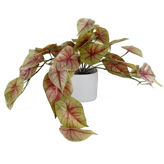 Stunning 30cm Pink Caladium Artificial Plant in White Decorative Pot - plants - express.com