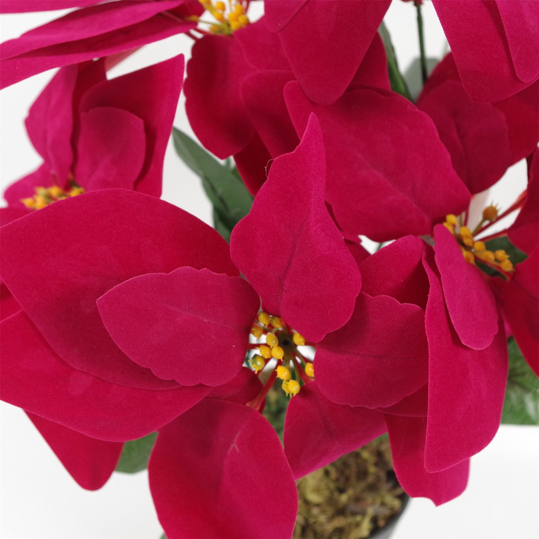 Stunning 40cm Velvet Touch Artificial Poinsettia - Perfect Holiday Décor! - plants - express.com