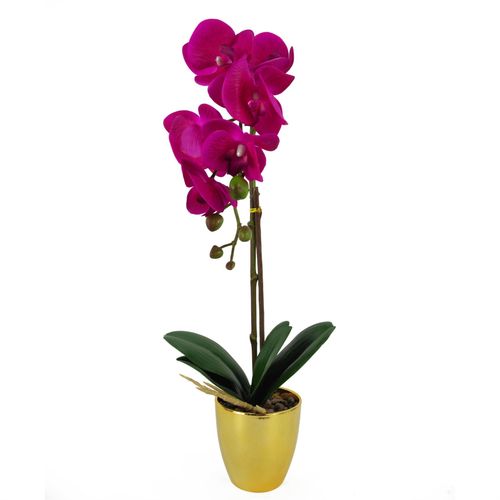 Stunning 46cm Dark Pink & Gold Real - Touch Orchid in Decorative Pot - plants - express.com