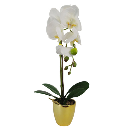 Stunning 46cm Real Touch White & Gold Orchid Plant in Decorative Pot - plants - express.com