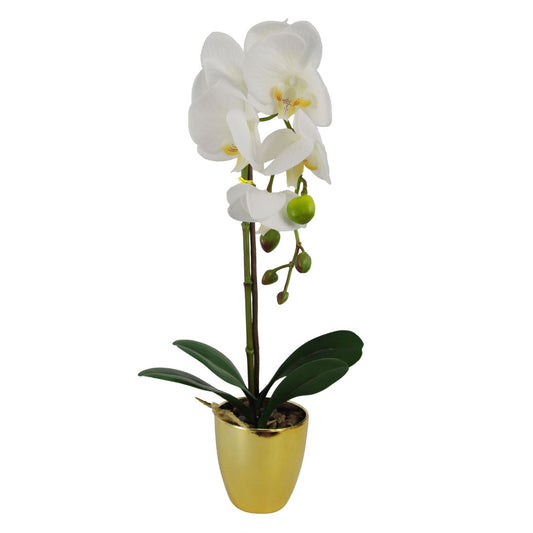 Stunning 46cm Real Touch White & Gold Orchid Plant in Decorative Pot - plants - express.com