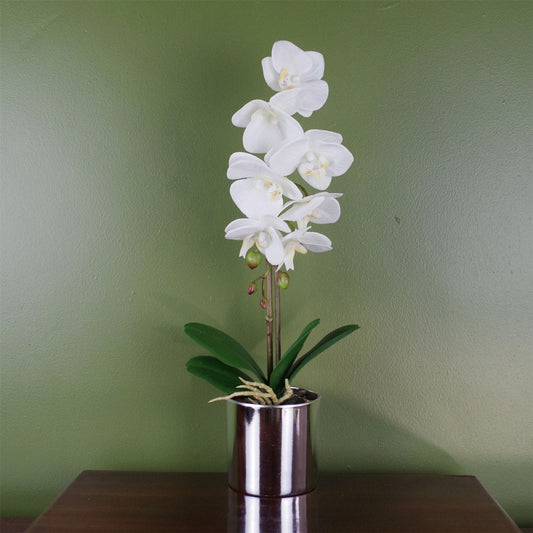 Stunning 46cm Realistic White Orchid in Elegant Silver Decorative Pot - plants - express.com
