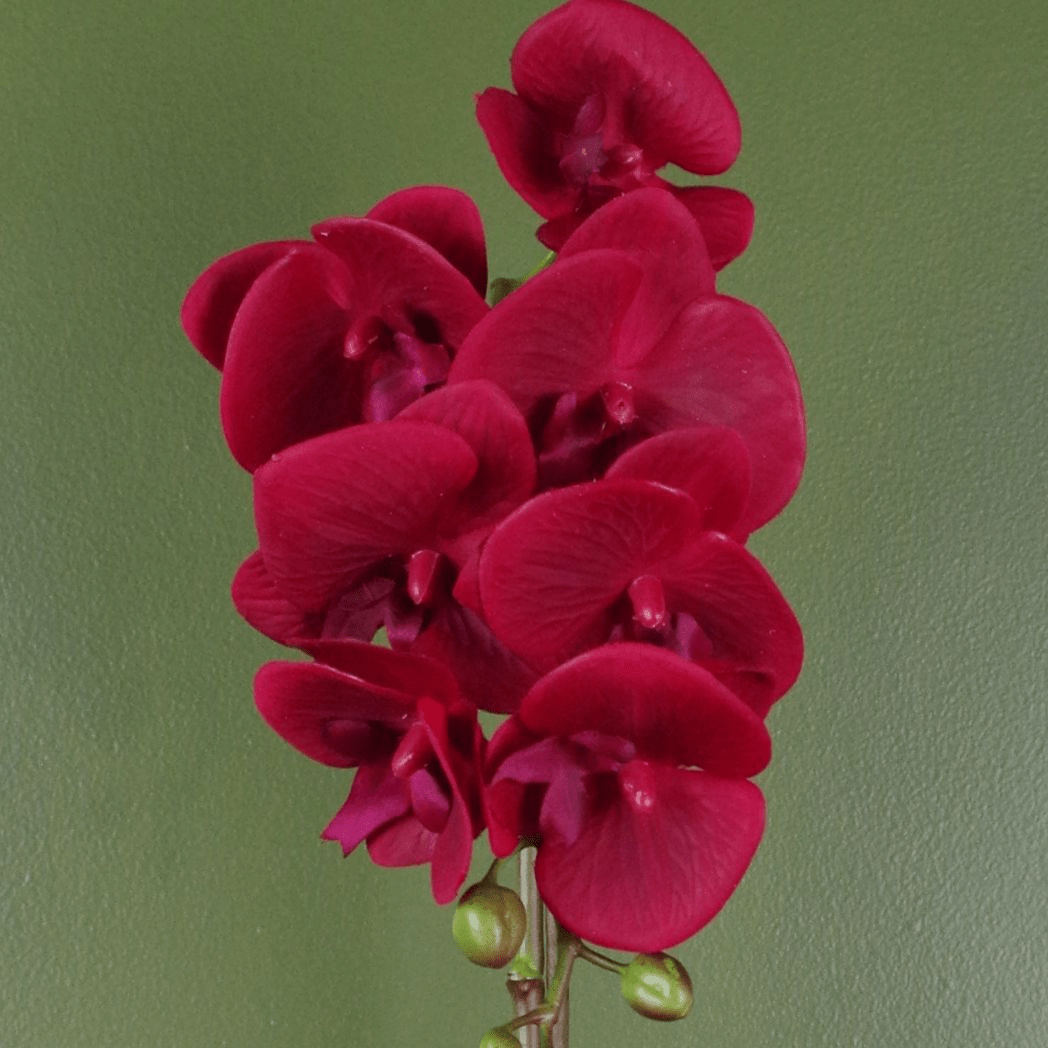 Stunning 46cm Red Artificial Orchid in Elegant Silver Pot - Real Touch Beauty! - plants - express.com