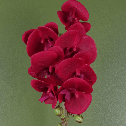 Stunning 46cm Red Artificial Orchid in Elegant Silver Pot - Real Touch Beauty! - plants - express.com