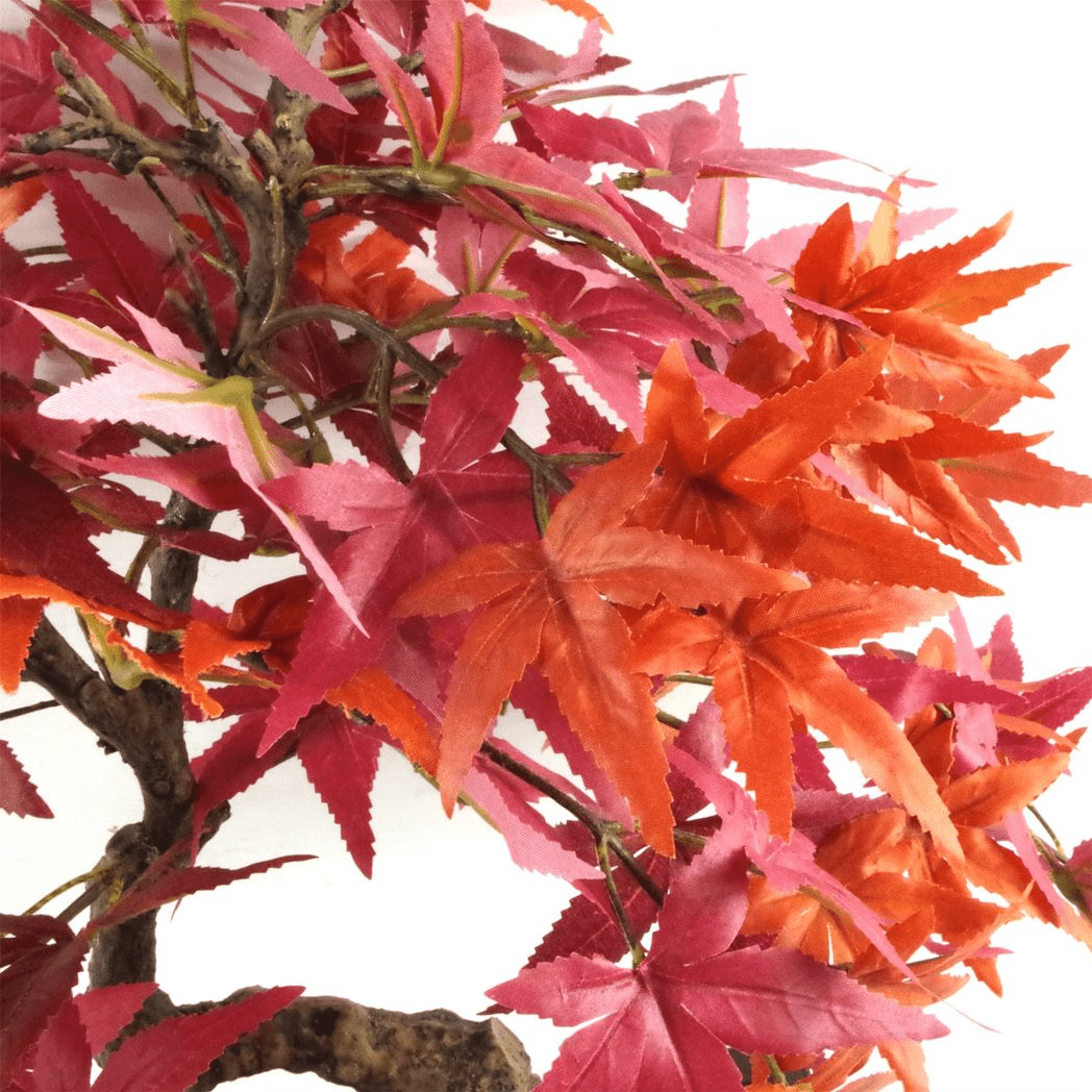 Stunning 50cm Artificial Red Maple Bonsai Tree - Ideal Home Décor! - plants - express.com