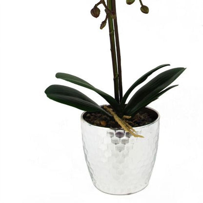 Stunning 50cm Dark Pink Phalaenopsis Orchid - Real Touch & Elegant Silver Pot - plants - express.com