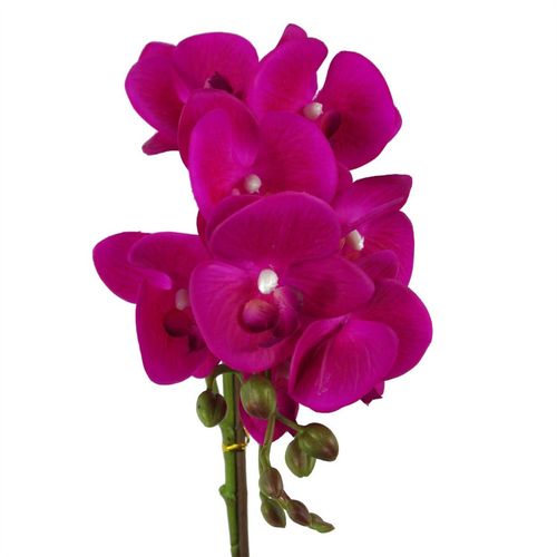Stunning 50cm Dark Pink Phalaenopsis Orchid - Real Touch & Elegant Silver Pot - plants - express.com