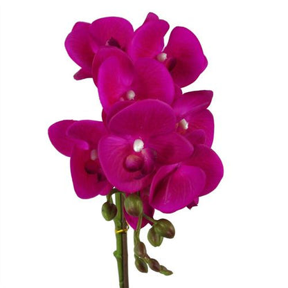 Stunning 50cm Dark Pink Phalaenopsis Orchid - Real Touch & Elegant Silver Pot - plants - express.com
