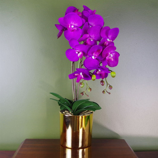 Stunning 52cm Realistic Purple & Gold Artificial Orchid in Luxe Pot - plants - express.com