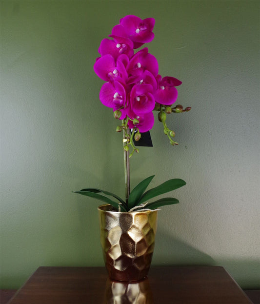 Stunning 54cm Dark Pink Artificial Orchid in Elegant Gold Pot - plants - express.com