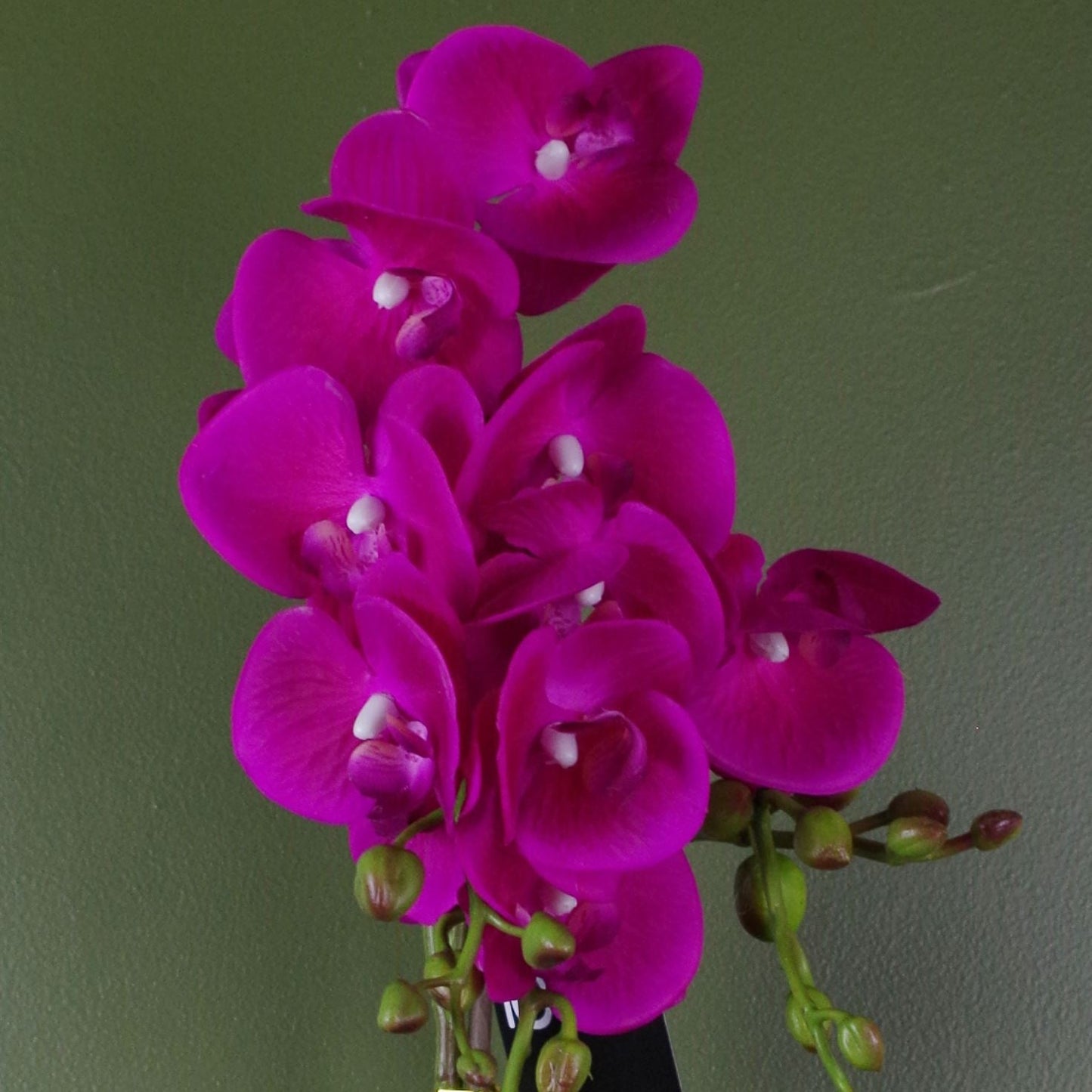 Stunning 54cm Dark Pink Artificial Orchid in Elegant Gold Pot - plants - express.com