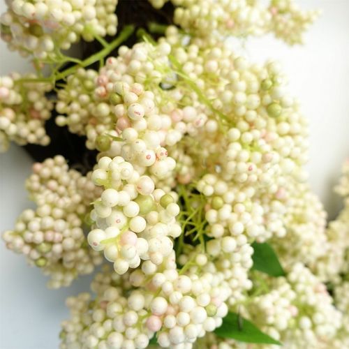 Stunning 55cm White Berries Hanging Wreath - Perfect for Every Door! - plants - express.com