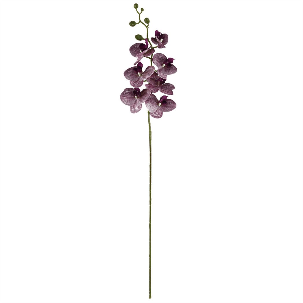 Stunning 6 - Pack Purple Phalaenopsis Orchid Stems - 42 Realistic Flowers! - plants - express.com