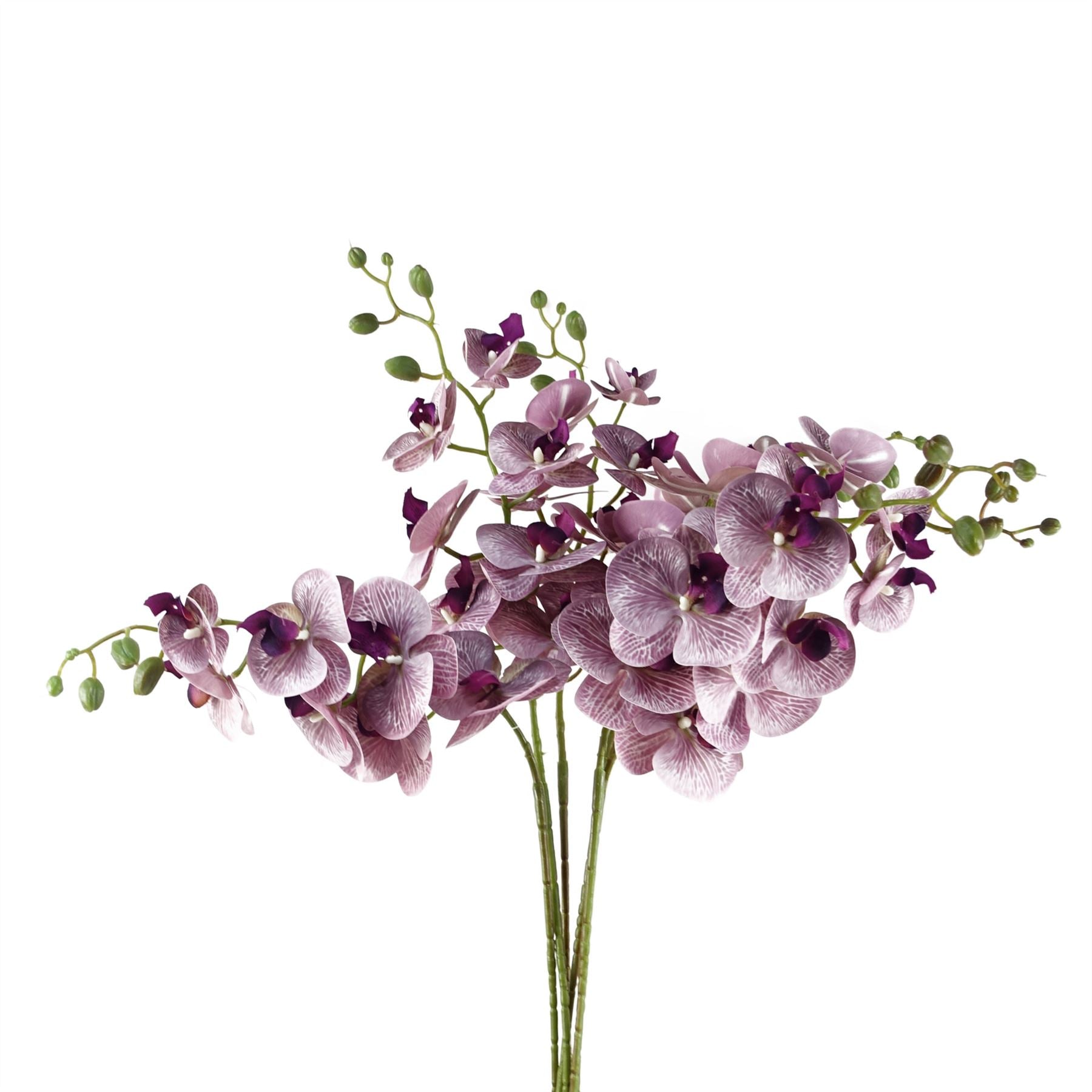 Stunning 6 - Pack Purple Phalaenopsis Orchid Stems - 42 Realistic Flowers! - plants - express.com