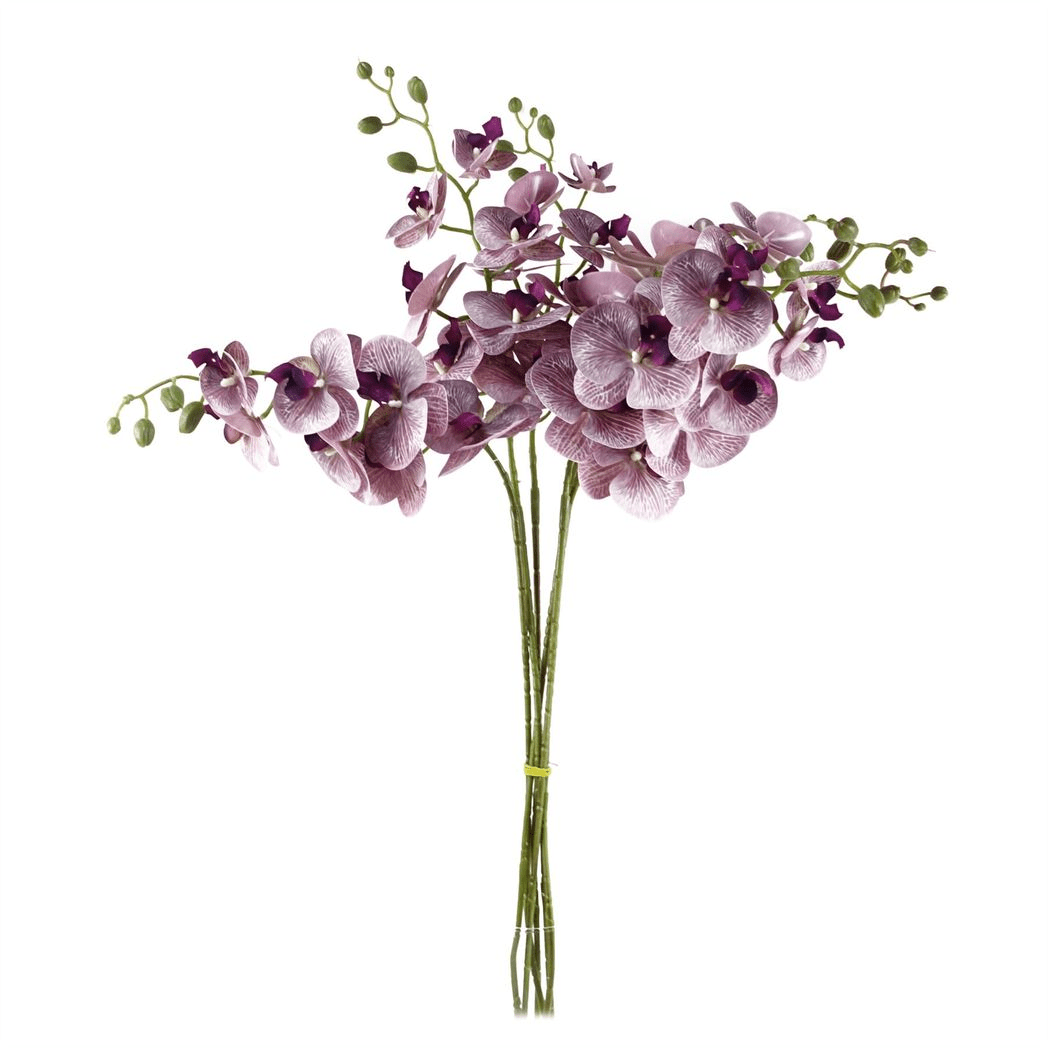 Stunning 6 - Pack Purple Phalaenopsis Orchid Stems - 42 Realistic Flowers! - plants - express.com