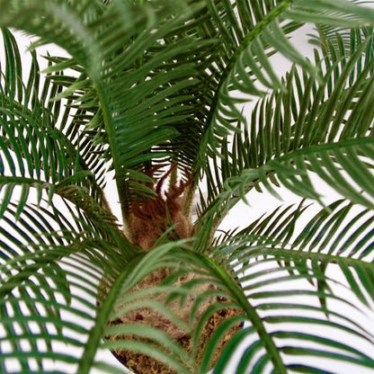 Stunning 60cm Artificial Cycas Palm - Lifelike Tropical Elegance for Any Space - plants - express.com