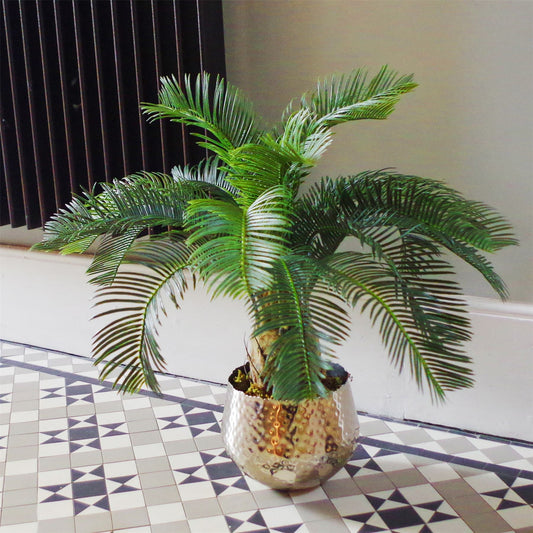 Stunning 60cm Artificial Cycas Palm - Perfect for Modern Tropical Décor! - plants - express.com