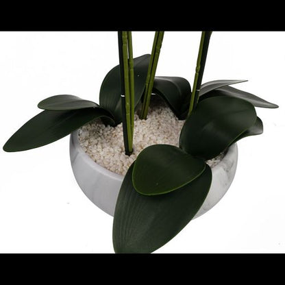 Stunning 60cm Orchid in Elegant White Marble Ceramic Planter - Botanik - plants - express.com