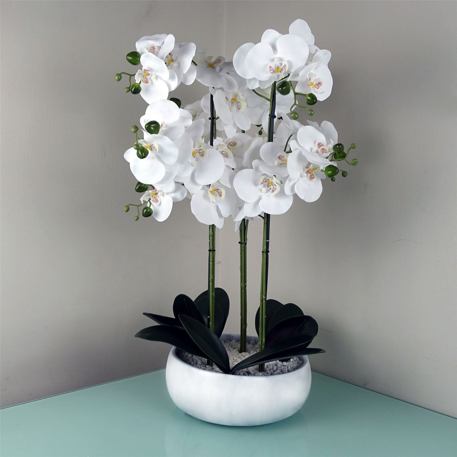 Stunning 60cm Orchid in Elegant White Marble Ceramic Planter - Botanik - plants - express.com
