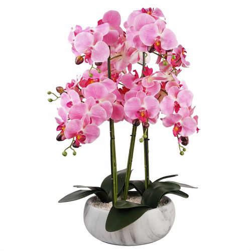 Stunning 60cm Pink Orchid in Elegant Marble Ceramic Planter – Ready to Display! - plants - express.com