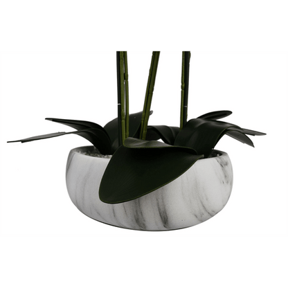 Stunning 60cm Pink Orchid in Elegant Marble Ceramic Planter – Ready to Display! - plants - express.com