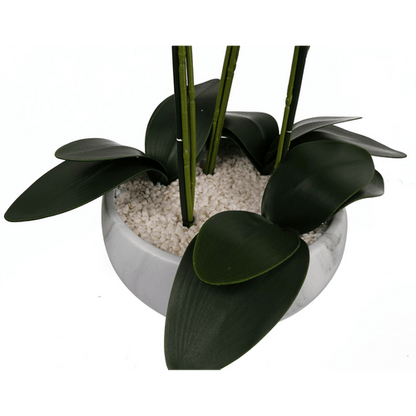 Stunning 60cm Pink Orchid in Elegant Marble Ceramic Planter – Ready to Display! - plants - express.com