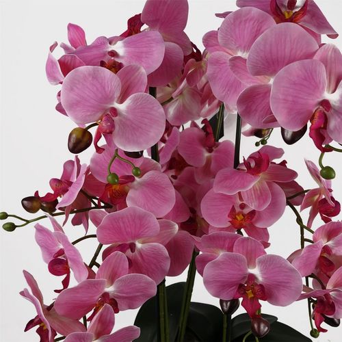 Stunning 60cm Pink Orchid in Elegant Marble Ceramic Planter – Ready to Display! - plants - express.com