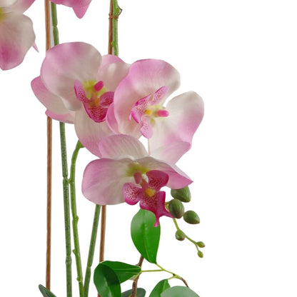 Stunning 65cm Light Pink Artificial Orchid in Elegant Glazed Planter - plants - express.com