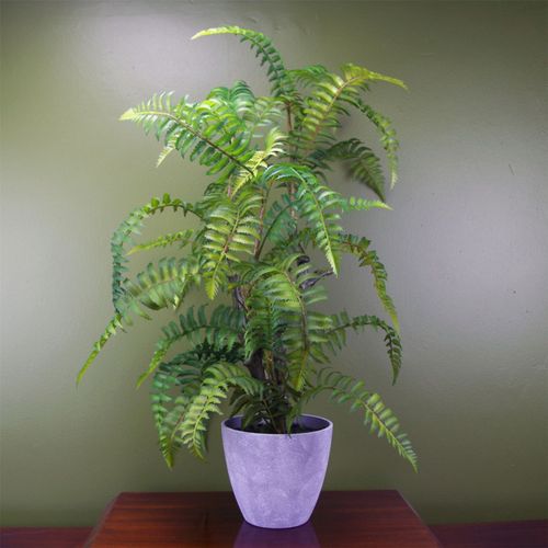 Stunning 70cm Faux Tree Fern in Elegant Decorative Planter - Instant Greenery! - plants - express.com