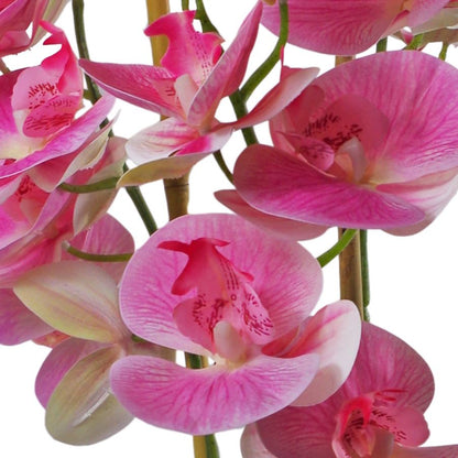 Stunning 70cm Light Pink Artificial Orchid in Elegant Black Ceramic Planter - plants - express.com